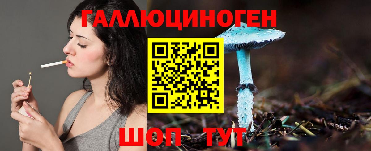 Среднеуральск  Псилоцибиновые грибы Psilocybine cubensis  Вход с VPN  Галлюциногенные грибы прущие грибы 